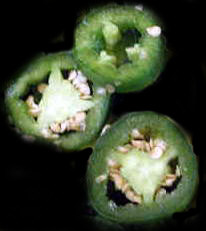 Neu: Pech&reg; - mex, mit Jalape&ntilde;o